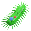 پیش‌نمایش فایل bacteria-5567481 از پک پزشکی