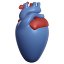 پیش‌نمایش فایل heart-organ-5567480 از پک پزشکی