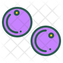 پیش‌نمایش فایل blueberry-1880970 از پک میوه