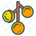 پیش‌نمایش فایل longan-1880962 از پک میوه