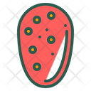 پیش‌نمایش فایل prickly-pear-1880955 از پک میوه