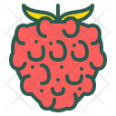 پیش‌نمایش فایل raspberry-1880953 از پک میوه