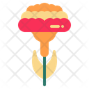 پیش‌نمایش فایل carnation-1840137 از پک گل و برگ