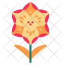 پیش‌نمایش فایل crocus-1840135 از پک گل و برگ