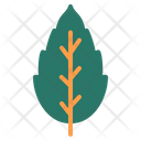 پیش‌نمایش فایل leaf-1840122 از پک گل و برگ