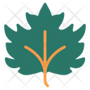 پیش‌نمایش فایل leaf-1840123 از پک گل و برگ