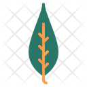 پیش‌نمایش فایل leaf-1840126 از پک گل و برگ