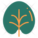 پیش‌نمایش فایل leaf-1840127 از پک گل و برگ