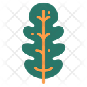 پیش‌نمایش فایل leaf-1840154 از پک گل و برگ