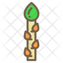 پیش‌نمایش فایل asparagus-1989527 از پک سبزیجات