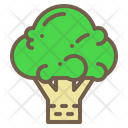 پیش‌نمایش فایل broccoli-1989525 از پک سبزیجات