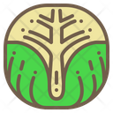 پیش‌نمایش فایل brussels-sprout-1989524 از پک سبزیجات
