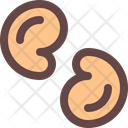 پیش‌نمایش فایل cashew-2133955 از پک غذا