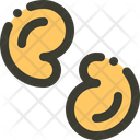 پیش‌نمایش فایل cashew-2146077 از پک غذا