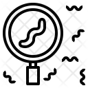 پیش‌نمایش فایل worm-24 از پک مدیریت دانش