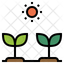 پیش‌نمایش فایل grow-seed-1 از پک بهار، رنگی