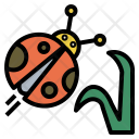 پیش‌نمایش فایل ladybug-39 از پک بهار، رنگی