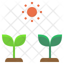 پیش‌نمایش فایل grow-9 از پک بهار، سبک تخت