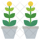 پیش‌نمایش فایل potted-plant-12 از پک بهار، سبک تخت