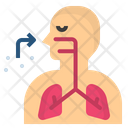 پیش‌نمایش فایل respiratory-1659099 از پک شب سلیپلِسس