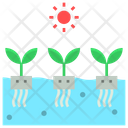 پیش‌نمایش فایل hydroponic-1658886 از پک کشاورزی آینده