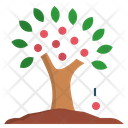 پیش‌نمایش فایل abundance-1658812 از پک ینتِراکشن کولوگیکال