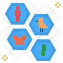 پیش‌نمایش فایل biodiversity-1658809 از پک ینتِراکشن کولوگیکال