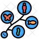 پیش‌نمایش فایل evolution-1659677 از پک ینتِراکشن کولوگیکال