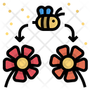 پیش‌نمایش فایل pollination-1659664 از پک ینتِراکشن کولوگیکال