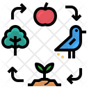 آیکن