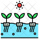 پیش‌نمایش فایل hydroponic-1659824 از پک کشاورزی آینده