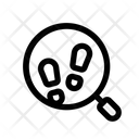 پیش‌نمایش فایل mystery-2760841 از پک پخش بازی