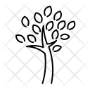 پیش‌نمایش فایل trees-leaves از پک درختان