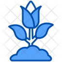 پیش‌نمایش فایل flower-9297036 از پک بهار