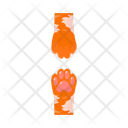 پیش‌نمایش فایل cat-paw-10577769 از پک پنجه گربه
