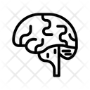 پیش‌نمایش فایل brain-6693331 از پک سلامتی