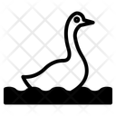 پیش‌نمایش فایل duck-12344209 از پک حیات وحش