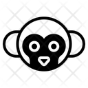 پیش‌نمایش فایل monkey-12344124 از پک حیات وحش