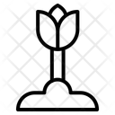 پیش‌نمایش فایل flower-12785258 از پک بهار