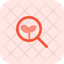 پیش‌نمایش فایل search-organic-4664974 از پک سئو