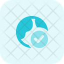 پیش‌نمایش فایل internet-check-4793493 از پک وب جهانی – جلد ۱