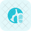 پیش‌نمایش فایل online-tracking-4793558 از پک وب جهانی – جلد ۱