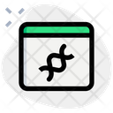 پیش‌نمایش فایل dna-browser-4859347 از پک تجربه آزمایشگاه‌ها