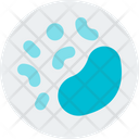 پیش‌نمایش فایل bacteria-4857933 از پک علم