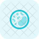 پیش‌نمایش فایل bacteria-4858152 از پک علم
