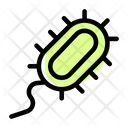 پیش‌نمایش فایل bacteria-two-4858262 از پک علم