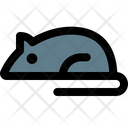 پیش‌نمایش فایل laboratory-mouse-4859062 از پک تجربه آزمایشگاه‌ها