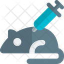 پیش‌نمایش فایل laboratory-mouse-testing-4859303 از پک تجربه آزمایشگاه‌ها