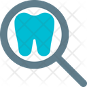 پیش‌نمایش فایل tooth-examination-5153640 از پک دندان‌پزشکی