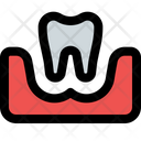 پیش‌نمایش فایل tooth-on-gum-two-5153755 از پک دندان‌پزشکی